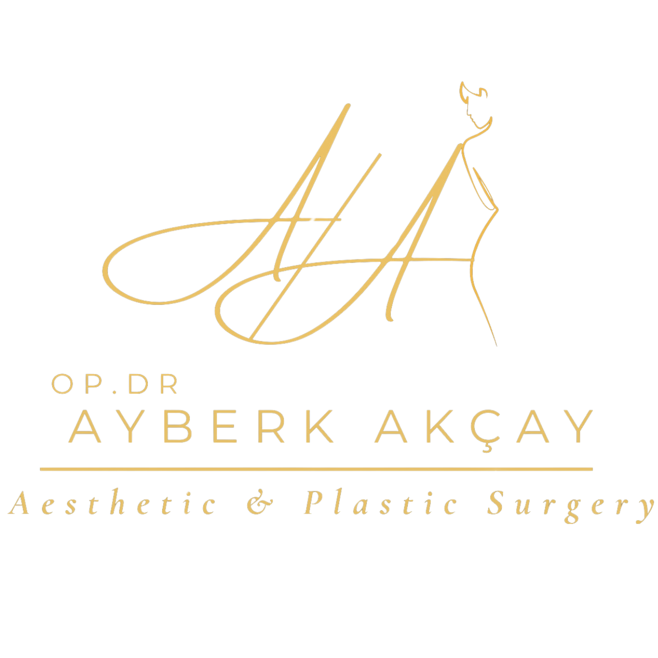 Ayberk Akçay 1 AYBERK HOCA LOGO 10 1